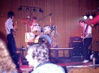 Mood Elevators Photo 2