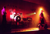 Mood Elevators Photo 3